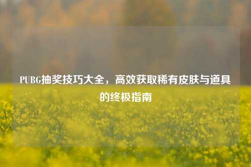 PUBG抽奖技巧大全，高效获取稀有皮肤与道具的终极指南