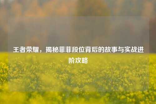 王者荣耀，揭秘菲菲段位背后的故事与实战进阶攻略