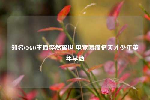 知名CSGO主播猝然离世 电竞圈痛惜天才少年英年早逝