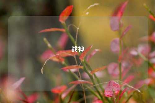 战神