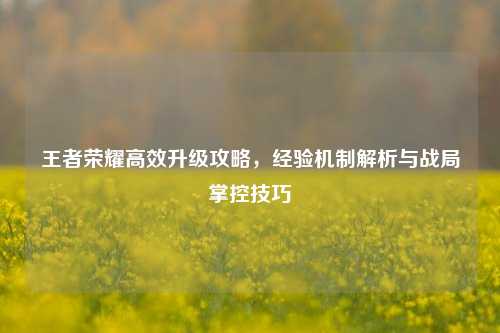 王者荣耀高效升级攻略，经验机制解析与战局掌控技巧