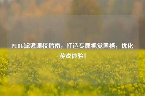PUBG滤镜调校指南，打造专属视觉风格，优化游戏体验！