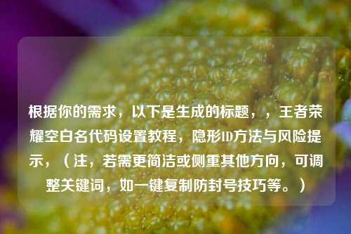 根据你的需求，以下是生成的标题，，王者荣耀空白名代码设置教程，隐形ID方法与风险提示，（注，若需更简洁或侧重其他方向，可调整关键词，如一键复制防封号技巧等。）