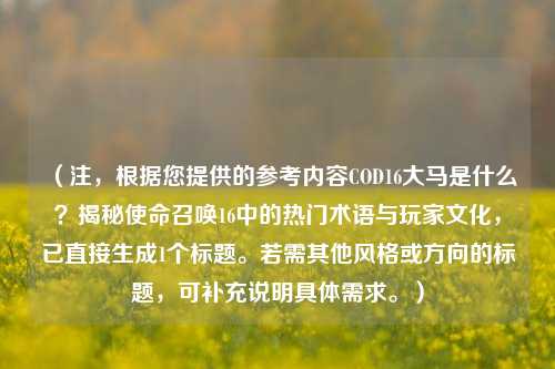 （注，根据您提供的参考内容COD16大马是什么？揭秘使命召唤16中的热门术语与玩家文化，已直接生成1个标题。若需其他风格或方向的标题，可补充说明具体需求。）