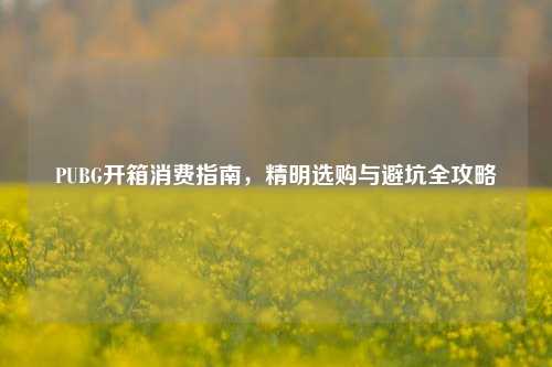 PUBG开箱消费指南，精明选购与避坑全攻略