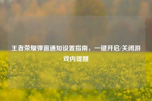 王者荣耀弹窗通知设置指南，一键开启/关闭游戏内提醒
