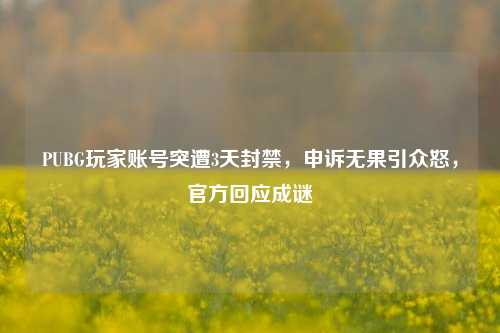 PUBG玩家账号突遭3天封禁，申诉无果引众怒，官方回应成谜