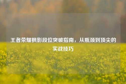 王者荣耀枫影段位突破指南，从瓶颈到顶尖的实战技巧