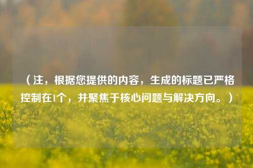 （注，根据您提供的内容，生成的标题已严格控制在1个，并聚焦于核心问题与解决方向。）
