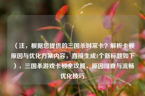 （注，根据您提供的三国杀时常卡？解析卡顿原因与优化方案内容，直接生成1个新标题如下），三国杀游戏卡顿全攻略，原因排查与流畅优化技巧