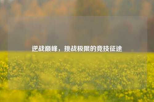 逆战巅峰，挑战极限的竞技征途