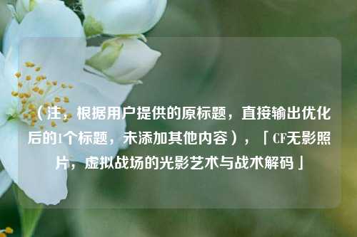 （注，根据用户提供的原标题，直接输出优化后的1个标题，未添加其他内容），「CF无影照片，虚拟战场的光影艺术与战术解码」