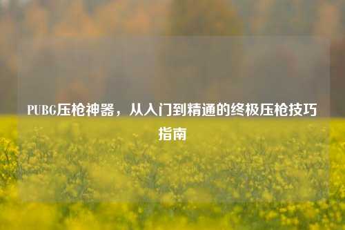 PUBG压枪神器，从入门到精通的终极压枪技巧指南