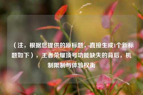 （注，根据您提供的原标题，直接生成1个新标题如下），王者荣耀顶号功能缺失的背后，机制限制与体验权衡