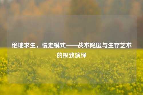绝地求生，慢走模式——战术隐匿与生存艺术的极致演绎