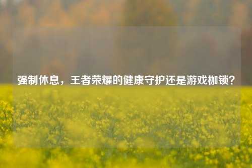强制休息，王者荣耀的健康守护还是游戏枷锁？