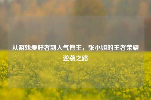 从游戏爱好者到人气博主，张小姐的王者荣耀逆袭之路