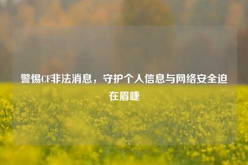 警惕CF非法消息，守护个人信息与网络安全迫在眉睫