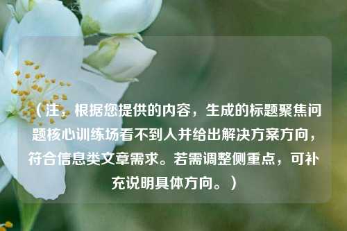 （注，根据您提供的内容，生成的标题聚焦问题核心训练场看不到人并给出解决方案方向，符合信息类文章需求。若需调整侧重点，可补充说明具体方向。）