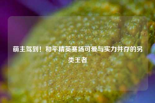 萌主驾到！和平精英赛场可爱与实力并存的另类王者