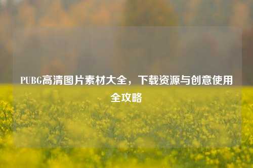 PUBG高清图片素材大全，下载资源与创意使用全攻略