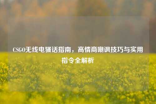 CSGO无线电骚话指南，高情商嘲讽技巧与实用指令全解析