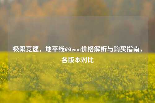 极限竞速，地平线6Steam价格解析与购买指南，各版本对比