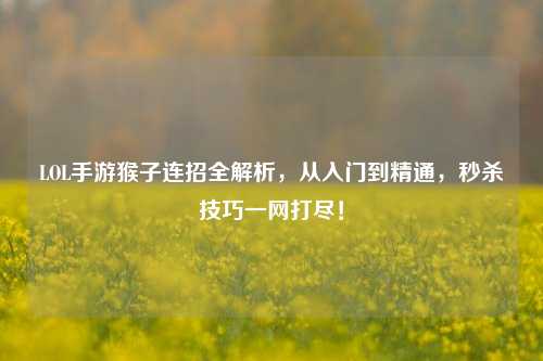 LOL手游猴子连招全解析，从入门到精通，秒杀技巧一网打尽！
