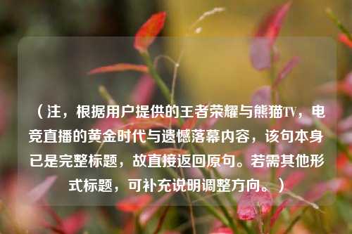 （注，根据用户提供的王者荣耀与熊猫TV，电竞直播的黄金时代与遗憾落幕内容，该句本身已是完整标题，故直接返回原句。若需其他形式标题，可补充说明调整方向。）