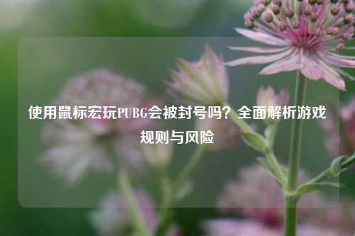 使用鼠标宏玩PUBG会被封号吗？全面解析游戏规则与风险