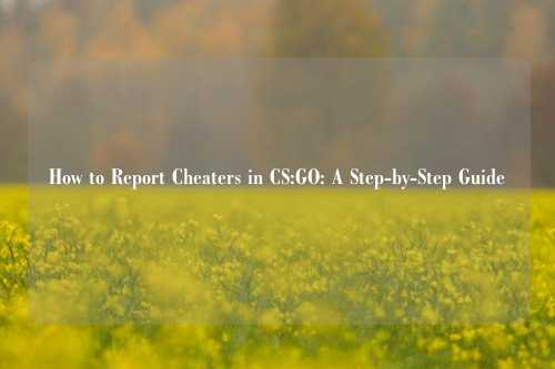How to Report Cheaters in CS:GO: A Step-by-Step Guide