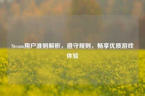 Steam用户准则解析，遵守规则，畅享优质游戏体验