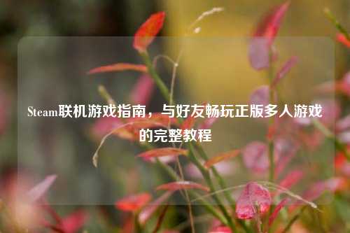 Steam联机游戏指南，与好友畅玩正版多人游戏的完整教程