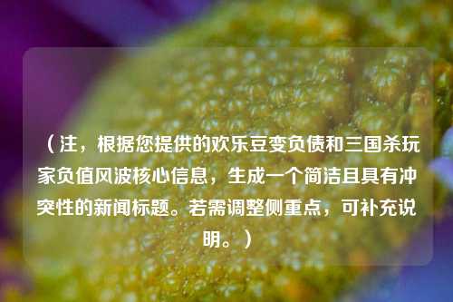 （注，根据您提供的欢乐豆变负债和三国杀玩家负值风波核心信息，生成一个简洁且具有冲突性的新闻标题。若需调整侧重点，可补充说明。）