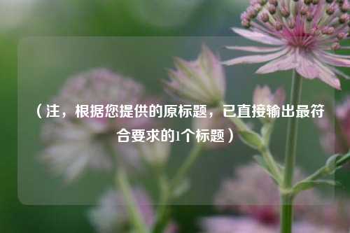 （注，根据您提供的原标题，已直接输出最符合要求的1个标题）
