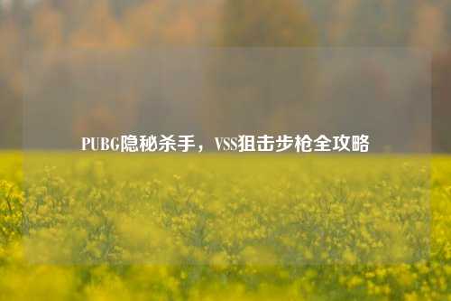PUBG隐秘杀手，VSS狙击步枪全攻略