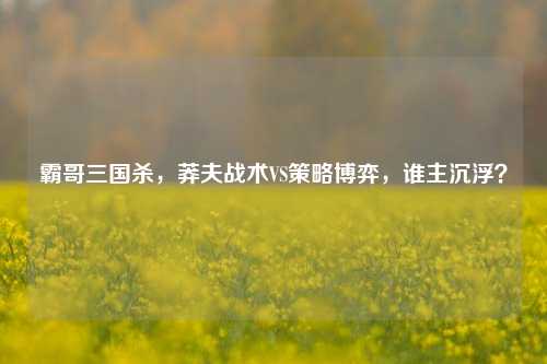 霸哥三国杀，莽夫战术VS策略博弈，谁主沉浮？