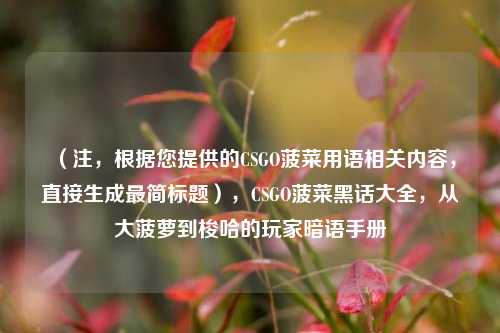 （注，根据您提供的CSGO菠菜用语相关内容，直接生成最简标题），CSGO菠菜黑话大全，从大菠萝到梭哈的玩家暗语手册