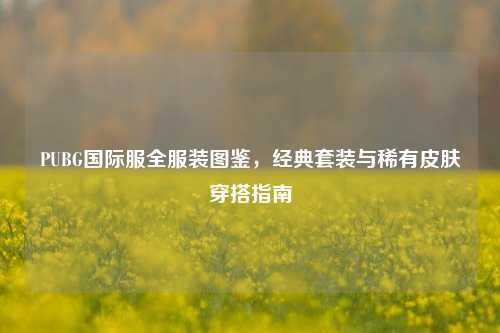 PUBG国际服全服装图鉴，经典套装与稀有皮肤穿搭指南