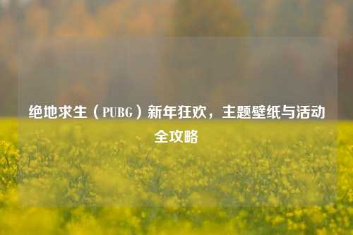 绝地求生（PUBG）新年狂欢，主题壁纸与活动全攻略