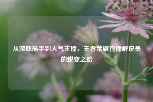从游戏高手到人气主播，王者荣耀直播解说员的蜕变之路