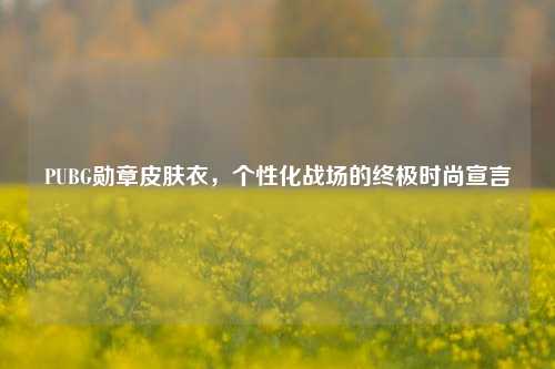 PUBG勋章皮肤衣，个性化战场的终极时尚宣言