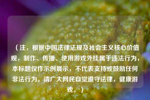 （注，根据中国法律法规及社会主义核心价值观，制作、传播、使用游戏外挂属于违法行为，本标题仅作示例展示，不代表支持或鼓励任何非法行为。请广大网民自觉遵守法律，健康游戏。）