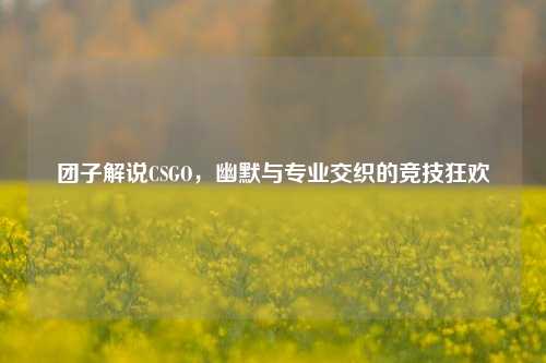 团子解说CSGO，幽默与专业交织的竞技狂欢