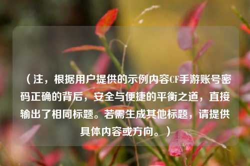 （注，根据用户提供的示例内容CF手游账号密码正确的背后，安全与便捷的平衡之道，直接输出了相同标题。若需生成其他标题，请提供具体内容或方向。）