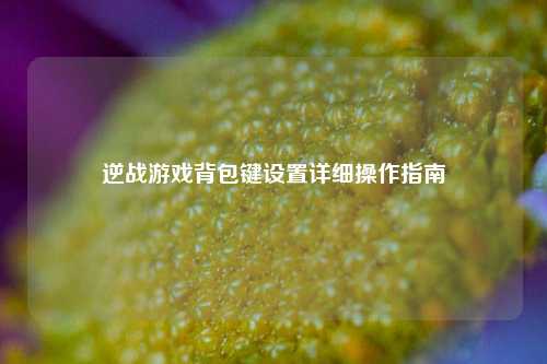 逆战游戏背包键设置详细操作指南
