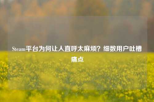 Steam平台为何让人直呼太麻烦？细数用户吐槽痛点