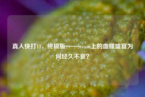 真人快打11，终极版——Steam上的血腥盛宴为何经久不衰？
