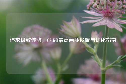 追求极致体验，CS:GO最高画质设置与优化指南