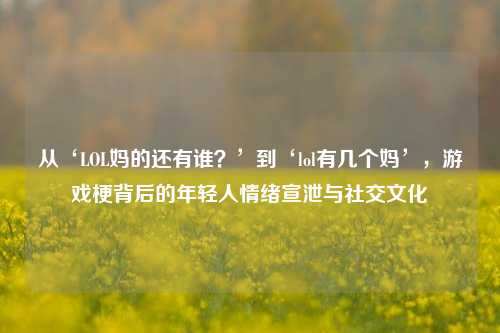 从‘LOL妈的还有谁？’到‘lol有几个妈’，游戏梗背后的年轻人情绪宣泄与社交文化
